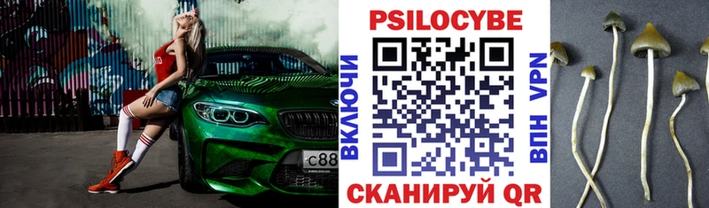 Псилоцибиновые грибы ЛСД Кунгур