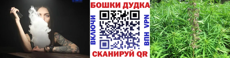 где можно купить   Кунгур  Канабис планчик 
