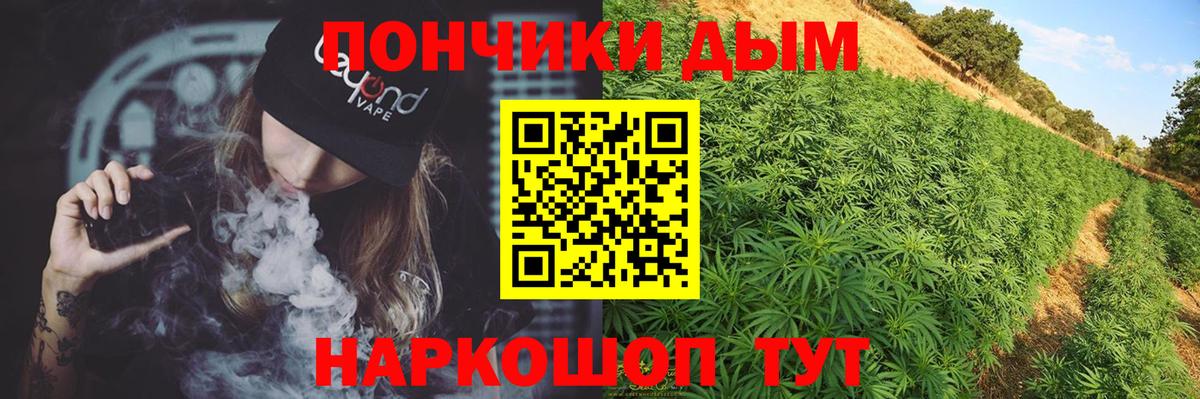 Шишки марихуана план  Бошки Шишки VHQ  Вход с VPN  Кунгур  МАРИХУАНА SATIVA & INDICA 